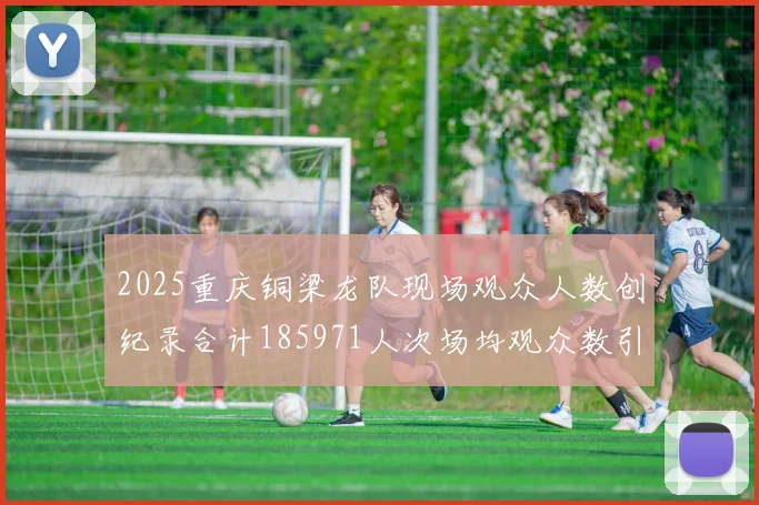 2025重庆铜梁龙队现场观众人数创纪录合计185971人次场均观众数引发热议