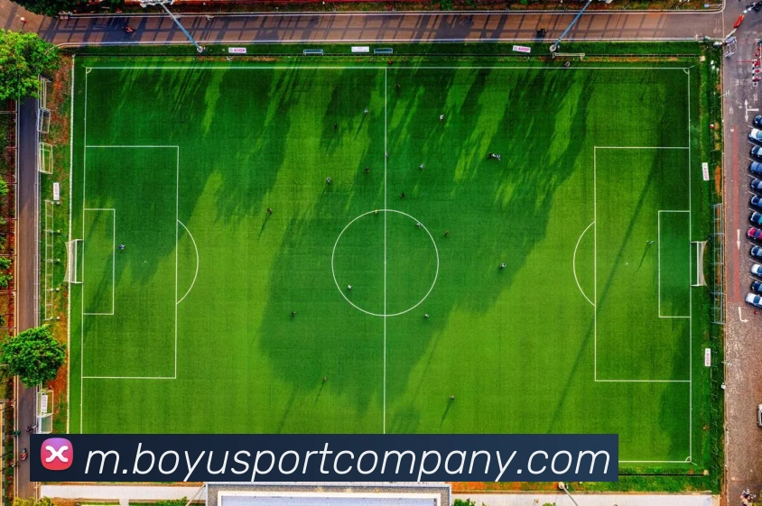 博鱼足球平台生态图